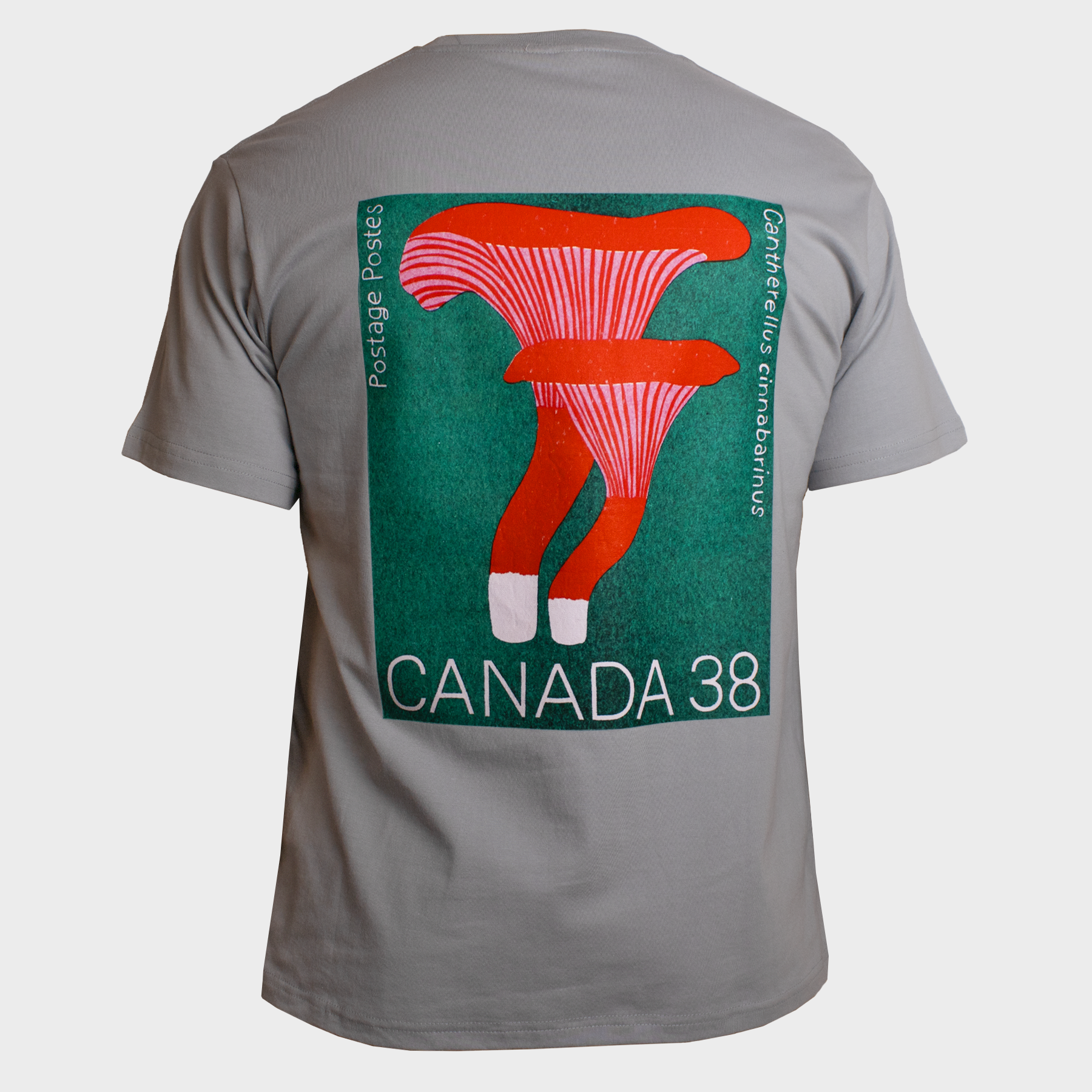 CANADA 38 - T-SHIRT -  MATTE BLUE
