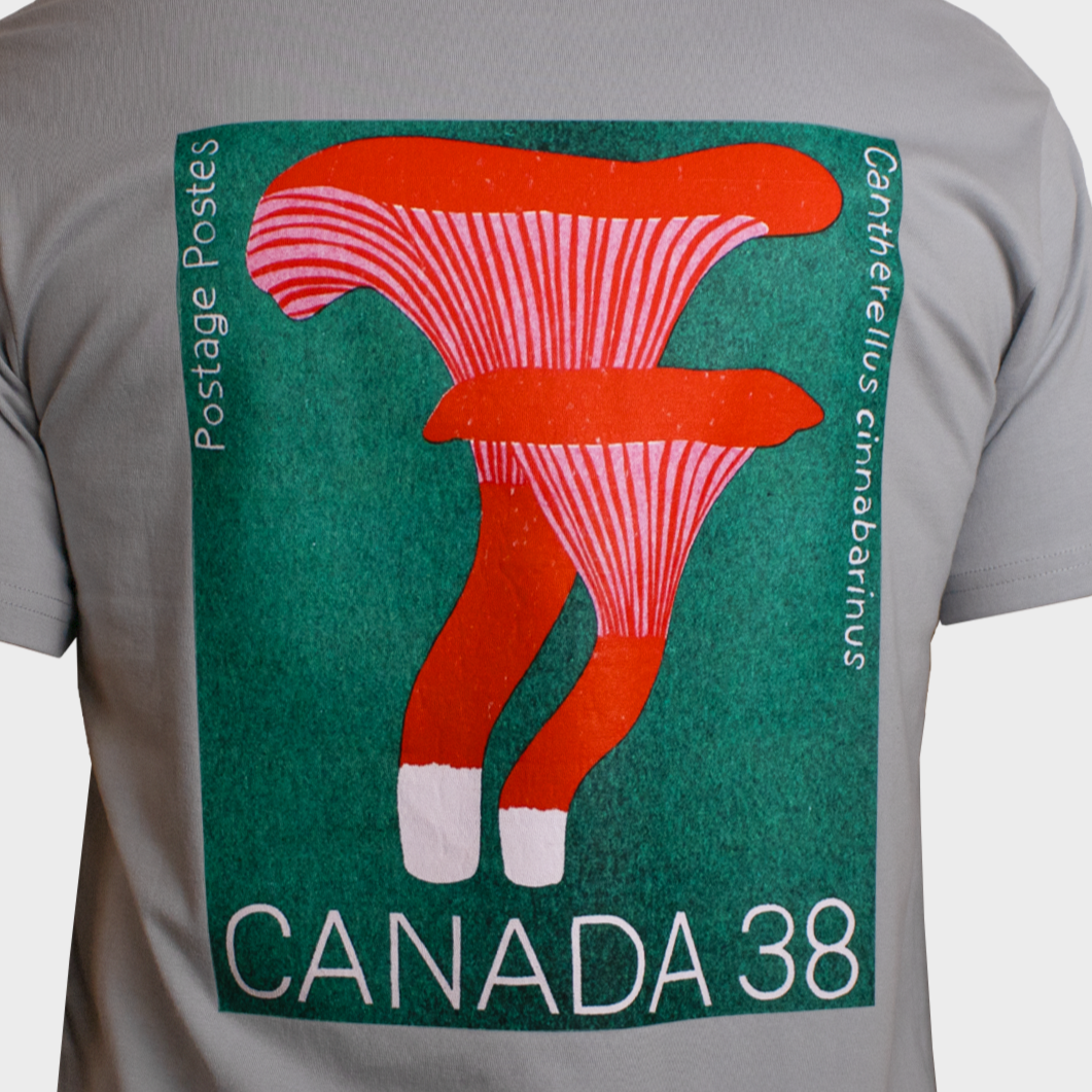 CANADA 38 - T-SHIRT -  MATTE BLUE